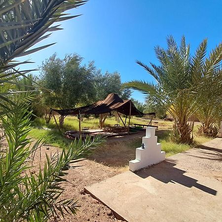 Jardin Du Desert M'Hamid Buitenkant foto