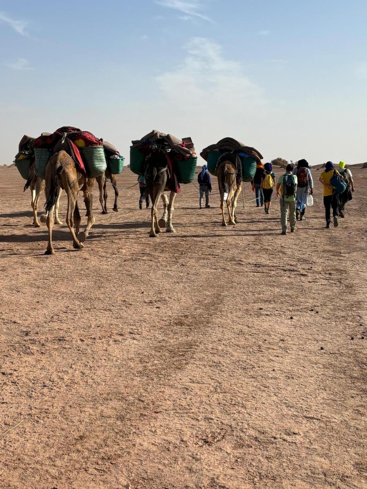 Jardin Du Desert M'Hamid Buitenkant foto